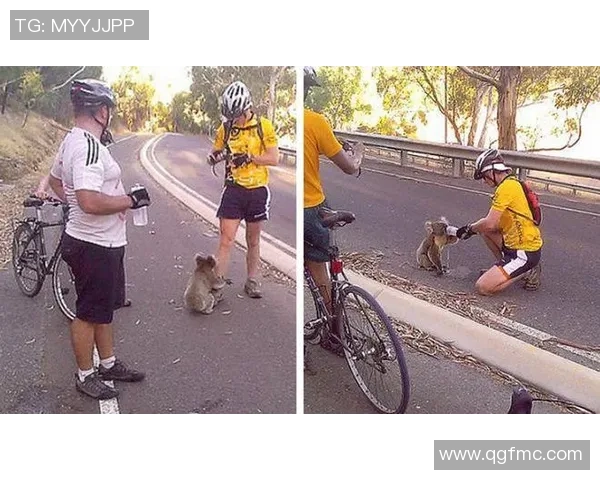 足球明星温暖心灵瞬间与粉丝互动展现真诚情感的感人时刻 足球明星温暖心灵瞬间与粉丝互动展现真诚情感的感人时刻