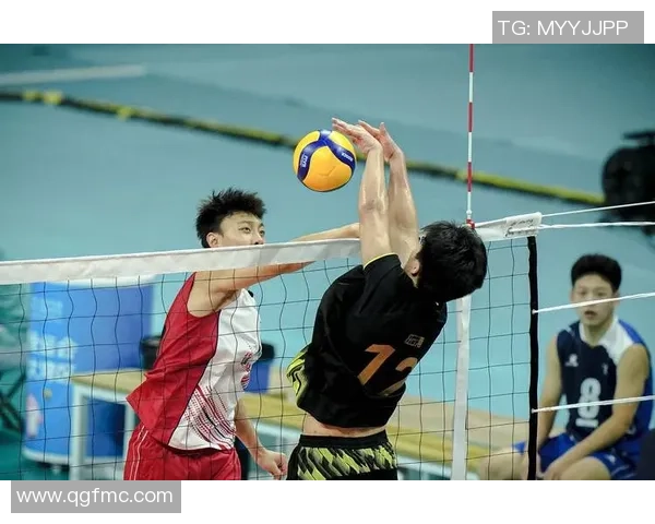 排球专题：聚焦重庆排球队的个人能力